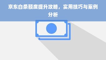 京东白条额度提升攻略，实用技巧与案例分析