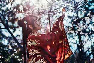 常熟汉服店男士品牌全攻略，从传统到潮流的完美融合