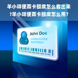 羊小咩便荔卡额度怎么套出来?羊小咩便荔卡额度怎么用？