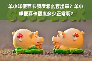 羊小咩便荔卡额度怎么套出来？羊小咩便荔卡额度多少正常啊？
