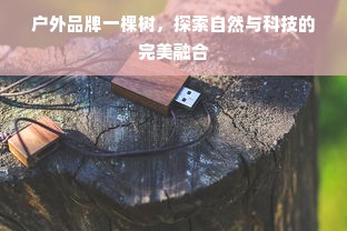 户外品牌一棵树，探索自然与科技的完美融合
