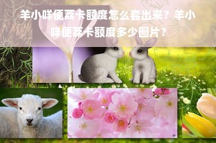 羊小咩便荔卡额度怎么套出来？羊小咩便荔卡额度多少图片？