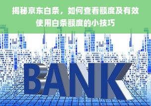 揭秘京东白条，如何查看额度及有效使用白条额度的小技巧