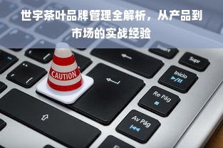 世宇茶叶品牌管理全解析，从产品到市场的实战经验