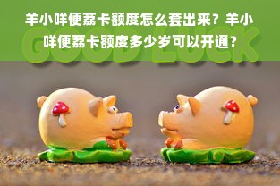 羊小咩便荔卡额度怎么套出来？羊小咩便荔卡额度多少岁可以开通？