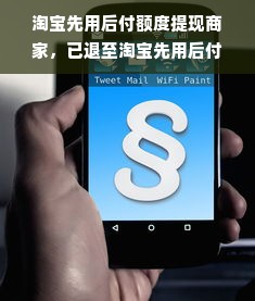 淘宝先用后付额度提现商家，已退至淘宝先用后付额度—一场额度与信任的较量