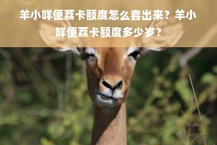 羊小咩便荔卡额度怎么套出来？羊小咩便荔卡额度多少岁？