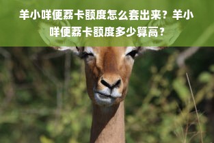 羊小咩便荔卡额度怎么套出来？羊小咩便荔卡额度多少算高？