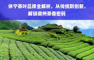 休宁茶叶品牌全解析，从传统到创新，解锁徽州茶香密码