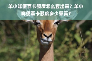 羊小咩便荔卡额度怎么套出来？羊小咩便荔卡额度多少算高？