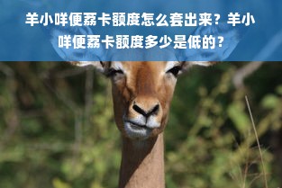 羊小咩便荔卡额度怎么套出来？羊小咩便荔卡额度多少是低的？