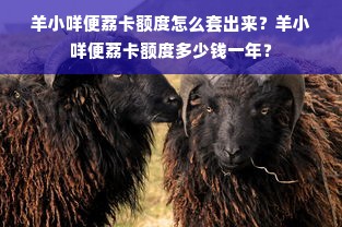 羊小咩便荔卡额度怎么套出来？羊小咩便荔卡额度多少钱一年？