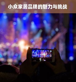 小众家居品牌的魅力与挑战