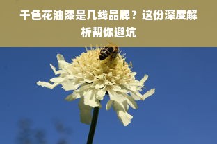 千色花油漆是几线品牌？这份深度解析帮你避坑