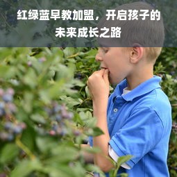 红绿蓝早教加盟，开启孩子的未来成长之路
