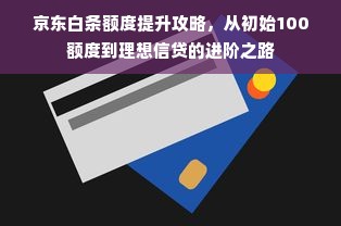 京东白条额度提升攻略，从初始100额度到理想信贷的进阶之路