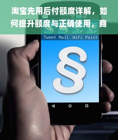 淘宝先用后付额度详解，如何提升额度与正确使用，商家操作指南及案例分享