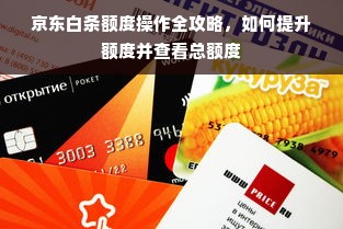 京东白条额度操作全攻略，如何提升额度并查看总额度
