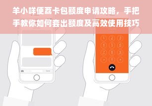 羊小咩便荔卡包额度申请攻略，手把手教你如何套出额度及高效使用技巧