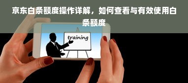 京东白条额度操作详解，如何查看与有效使用白条额度