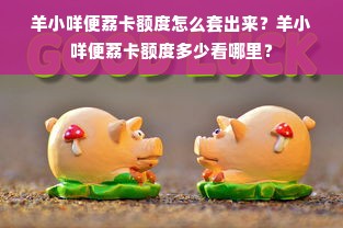 羊小咩便荔卡额度怎么套出来？羊小咩便荔卡额度多少看哪里？