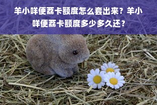 羊小咩便荔卡额度怎么套出来？羊小咩便荔卡额度多少多久还？