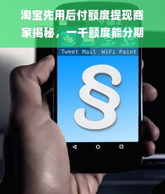 淘宝先用后付额度提现商家揭秘，一千额度能分期多少？