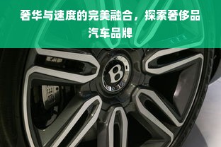 奢华与速度的完美融合，探索奢侈品汽车品牌
