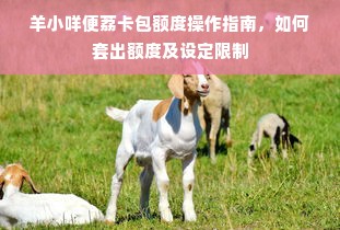 羊小咩便荔卡包额度操作指南，如何套出额度及设定限制