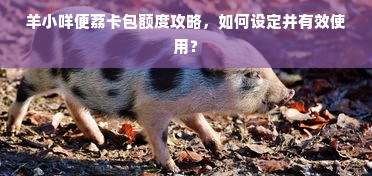 羊小咩便荔卡包额度攻略，如何设定并有效使用？