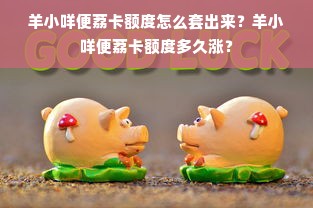 羊小咩便荔卡额度怎么套出来？羊小咩便荔卡额度多久涨？