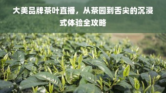 大美品牌茶叶直播，从茶园到舌尖的沉浸式体验全攻略