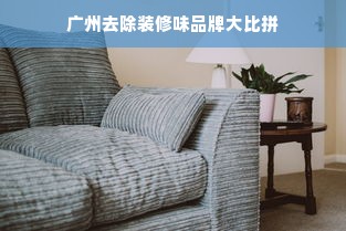 广州去除装修味品牌大比拼