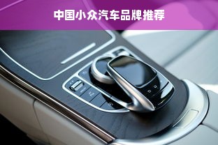中国小众汽车品牌推荐