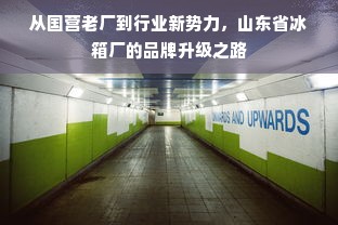 从国营老厂到行业新势力，山东省冰箱厂的品牌升级之路