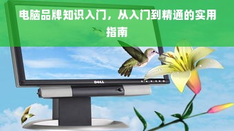 电脑品牌知识入门，从入门到精通的实用指南