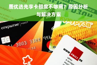 鹿优选先享卡额度不够用？原因分析与解决方案