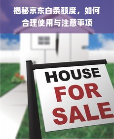 揭秘京东白条额度，如何合理使用与注意事项