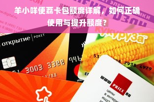 羊小咩便荔卡包额度详解，如何正确使用与提升额度？