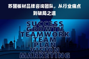 苏醒板材品牌咨询团队，从行业痛点到破局之道