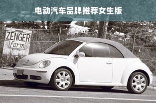 电动汽车品牌推荐女生版
