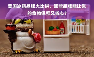 美国冰箱品牌大比拼，哪些品牌能让你的食物保鲜又省心？