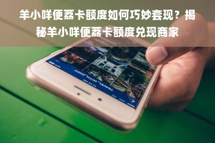 羊小咩便荔卡额度如何巧妙套现？揭秘羊小咩便荔卡额度兑现商家