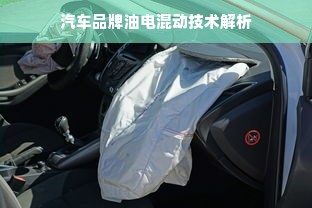 汽车品牌油电混动技术解析