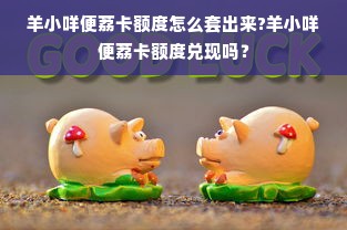 羊小咩便荔卡额度怎么套出来?羊小咩便荔卡额度兑现吗？