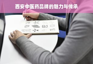 西安中医药品牌的魅力与传承