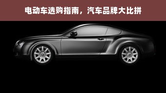 电动车选购指南，汽车品牌大比拼