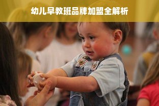 幼儿早教班品牌加盟全解析