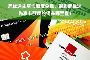 鹿优选先享卡额度兑现，退到鹿优选先享卡额度的钱在哪里查？