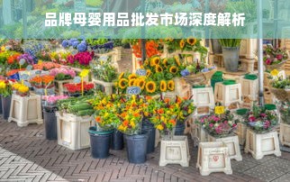 品牌母婴用品批发市场深度解析